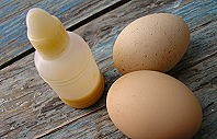 Eier sind nat�rliche Malmittel f�r Ikonen.