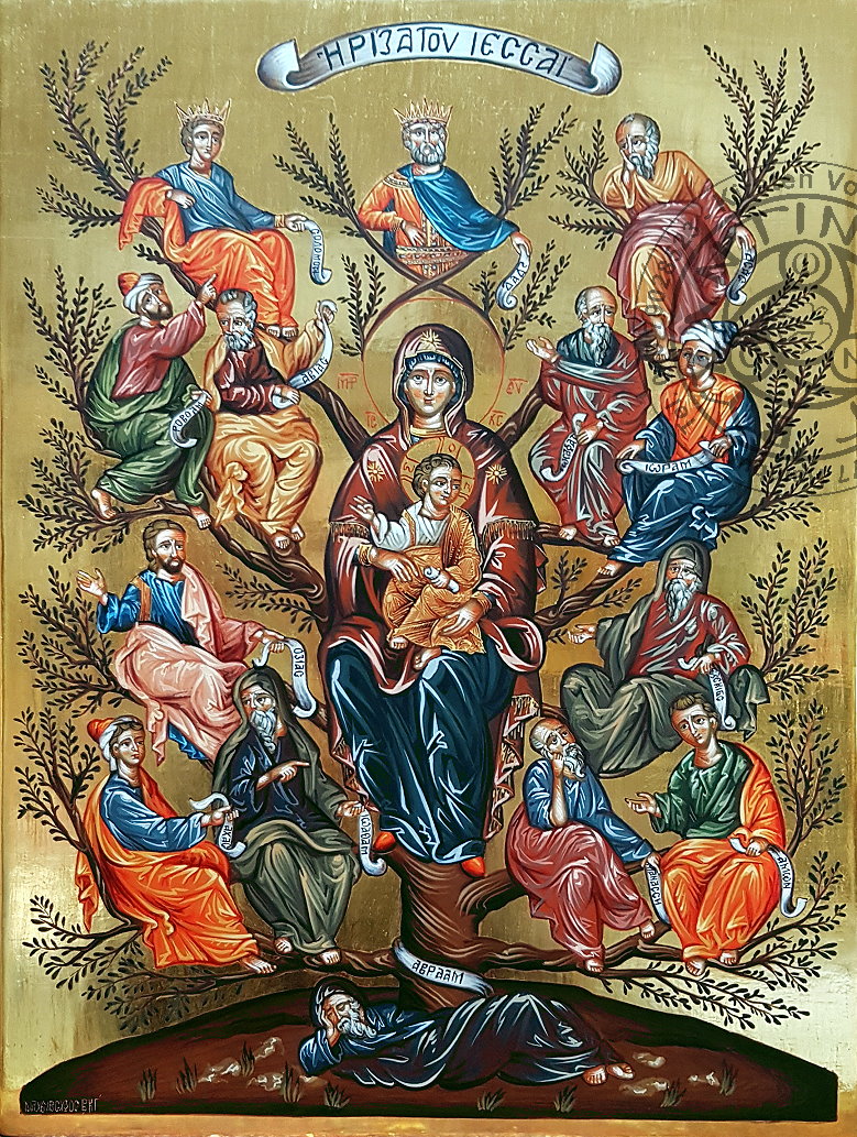 312 Wurzel Jesse f�r Web